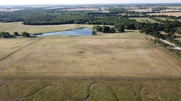 Celeste, TX 75423,10 Ac. CR 1089