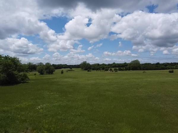 Lot 14 CR 1040, Celeste, TX 75423