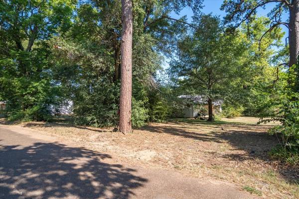 1310 Vz County Road 1803, Grand Saline, TX 75140