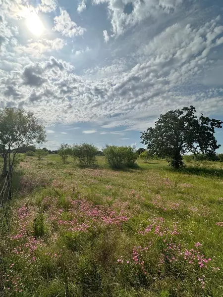 TBD Lot 3 Jess Hinton Road, Kemp, TX 75143