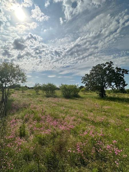 TBD Lot 3 Jess Hinton Road, Kemp, TX 75143