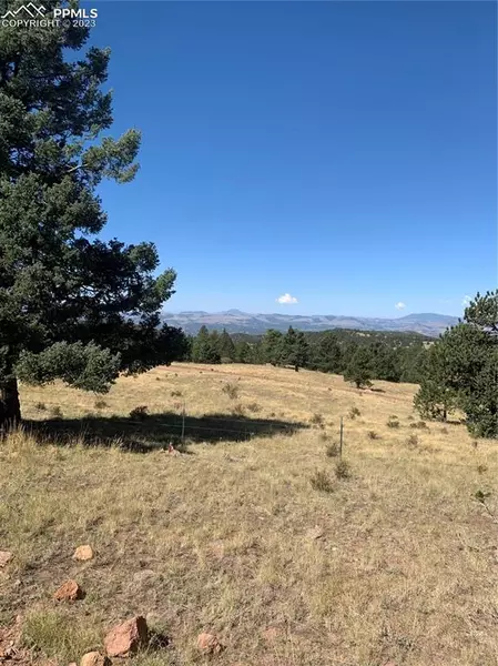 832 County Road 89, Cripple Creek, CO 80860