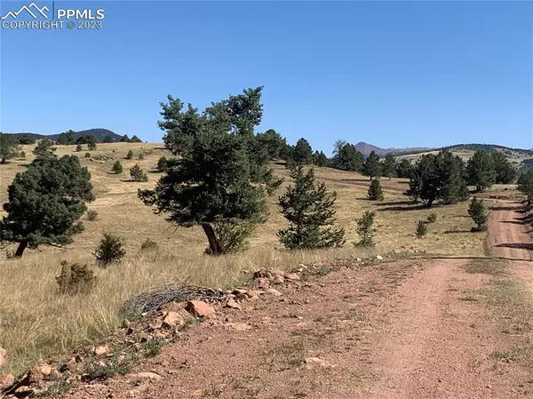 Cripple Creek, CO 80860,832 County Road 89