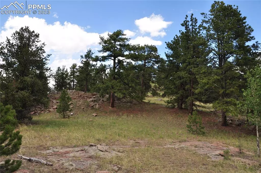 Cripple Creek, CO 80813,572 Stratton CIR