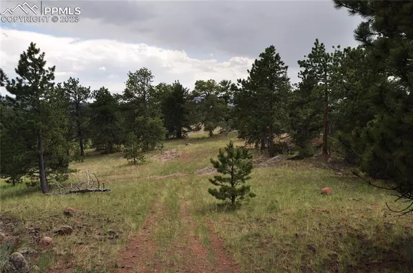 Cripple Creek, CO 80813,572 Stratton CIR