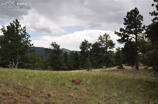 Cripple Creek, CO 80813,572 Stratton CIR