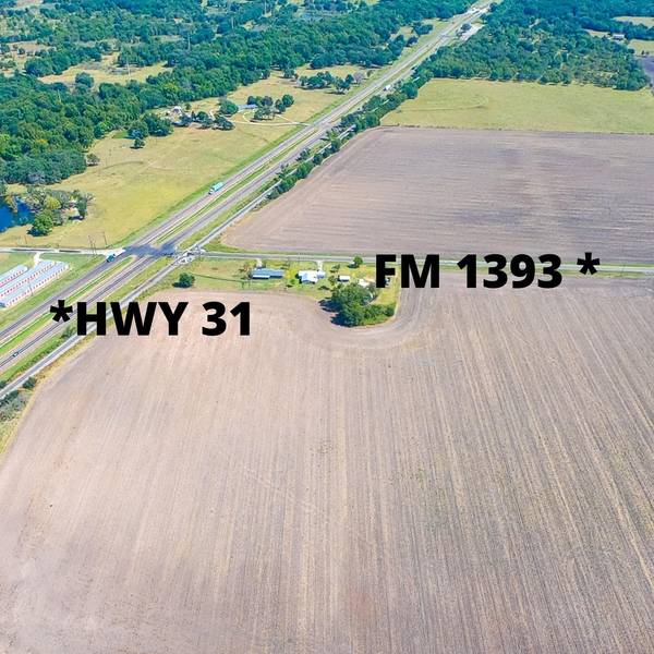 TBD FM 1393, Kerens, TX 75144