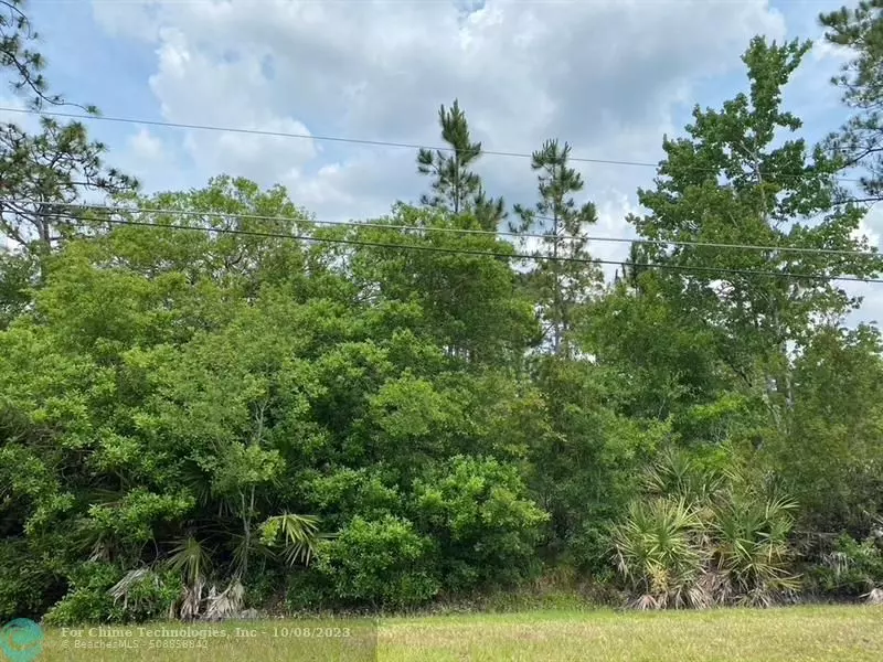 Lot 28 Seaview Street, Other City - In The State Of Florida, FL 32833