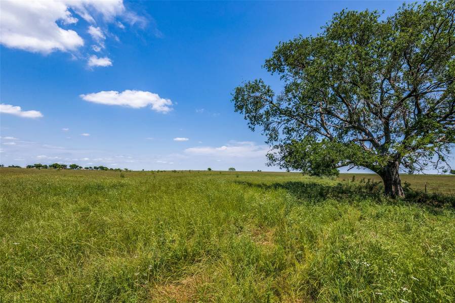 000 Pecan Creek Trail, Valley View, TX 76272