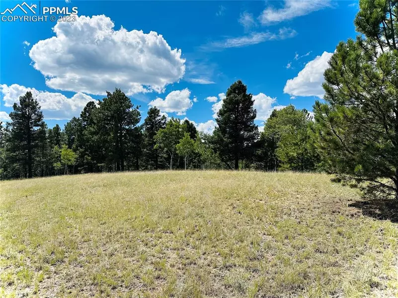 County Road 512, Divide, CO 80814