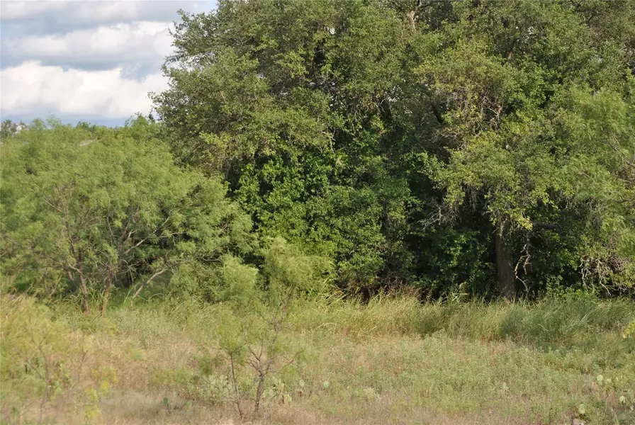 Lot 110 Comanche Lake Road, Comanche, TX 76442