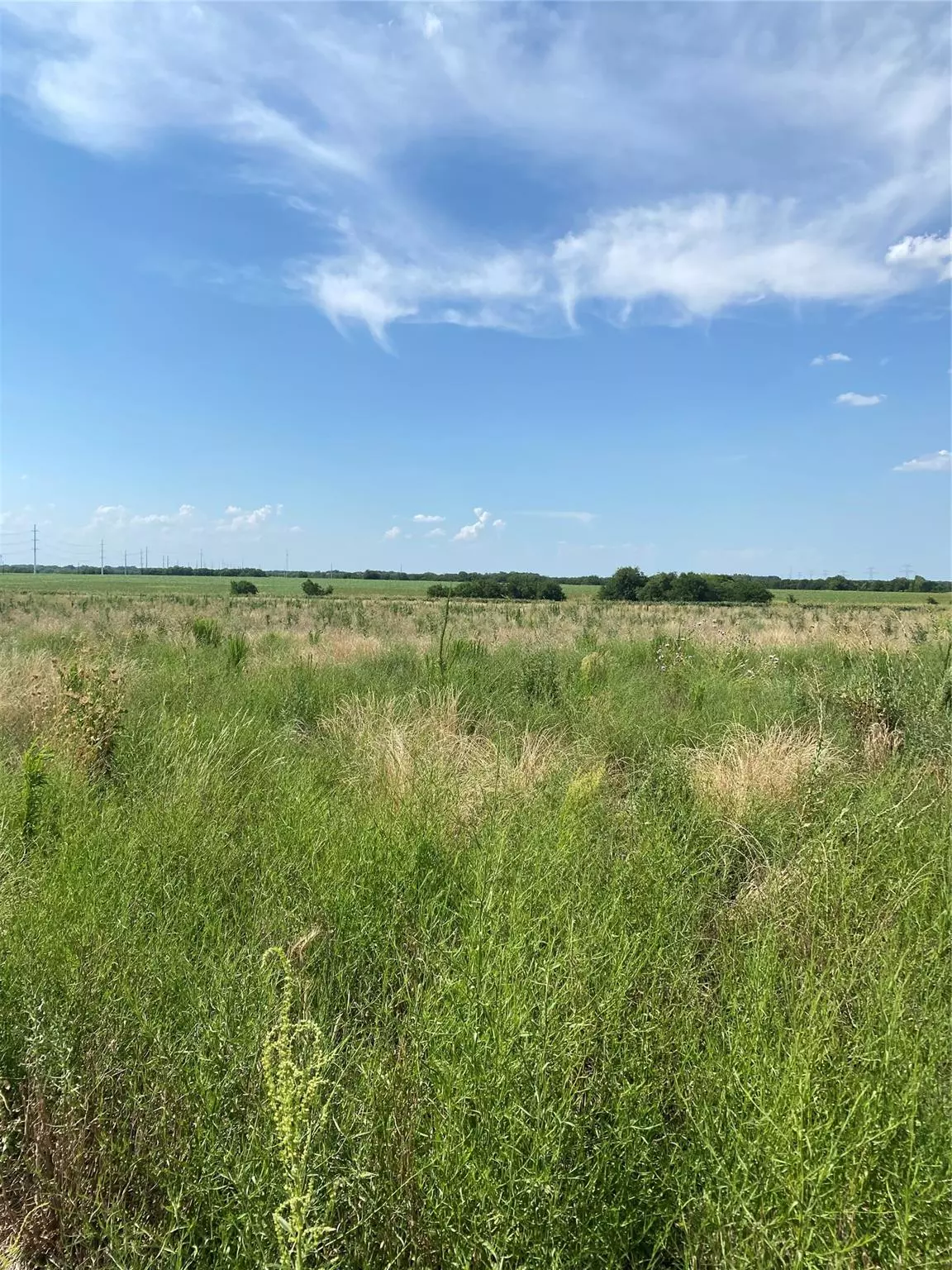 Nevada, TX 75173,Lot 12 County Road 592