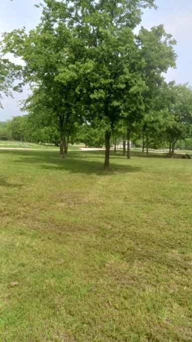 8269 Lakeview Drive, Lone Oak, TX 75453