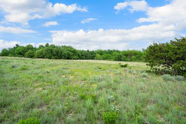 Weatherford, TX 76088,0000 Pioneer Crossing