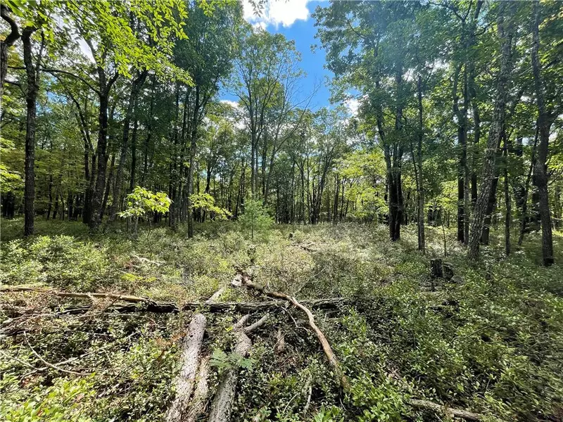 Pear Lane #Lot 16, Penn Forest Township, PA 18229