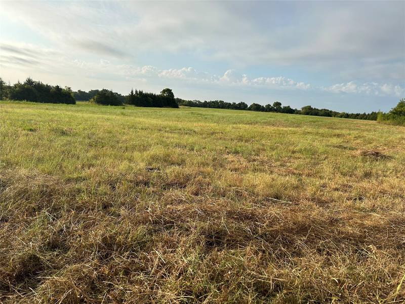 929 County Road 3715, Wolfe City, TX 75496