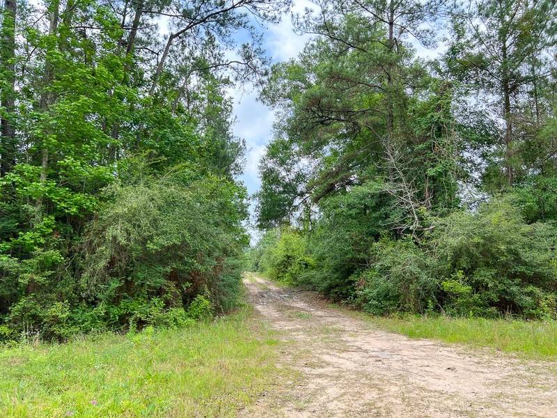 08 Old Arco Rd, Silsbee, TX 77656