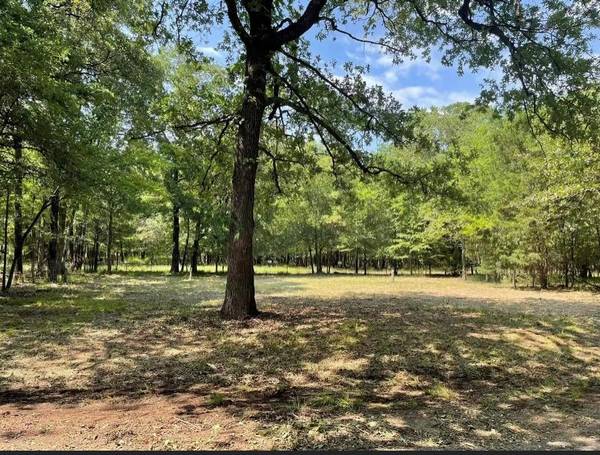 308 Comanche Trail, West Tawakoni, TX 75474