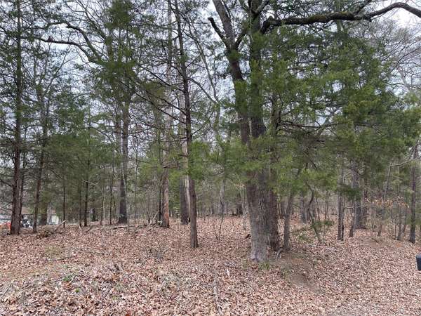 Lot 1 Whispering Pine Trail S, Mount Vernon, TX 75457