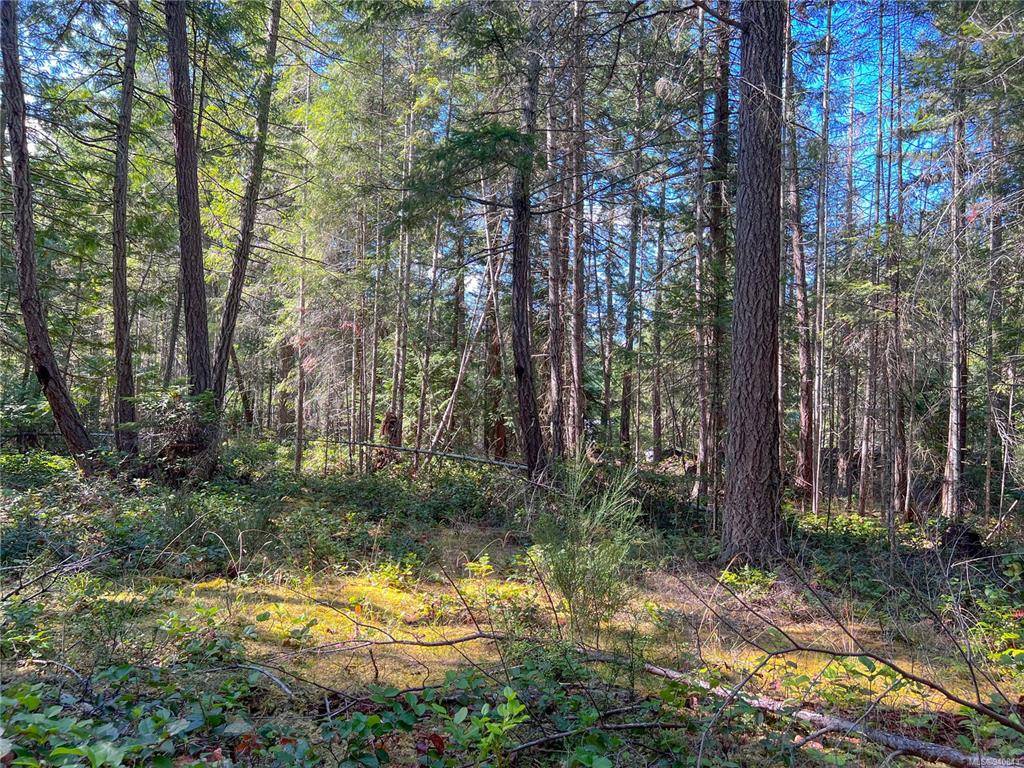 Gabriola Island, BC V0R 1X1,Lot A James Way