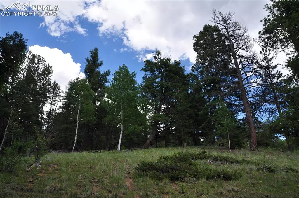 Cripple Creek, CO 80813,266 Mariposa DR