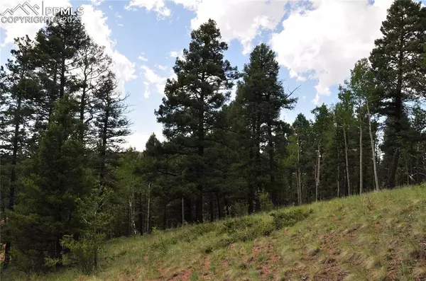 Cripple Creek, CO 80813,266 Mariposa DR