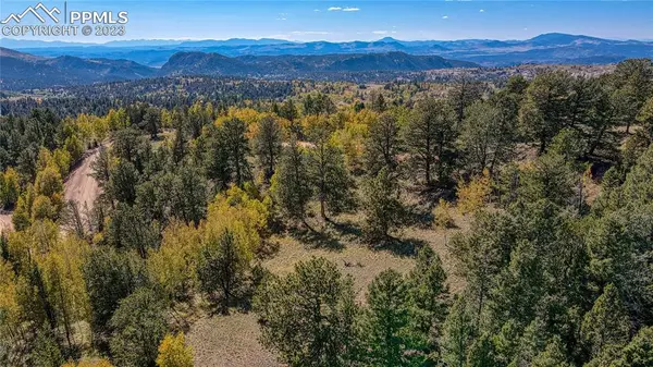 864 Wellington DR, Cripple Creek, CO 80813