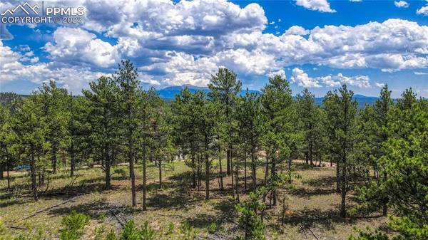 2075 Pikes Peak DR, Florissant, CO 80816