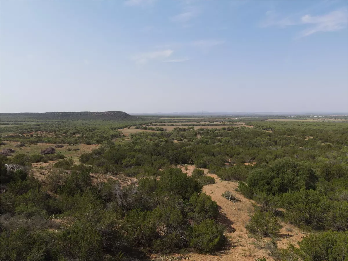 Bronte, TX 76933,TBD Pruitt Rd