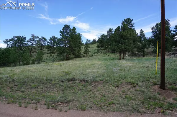 Guffey, CO 80820,89 Peak DR