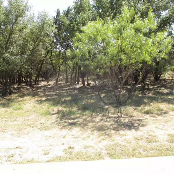 Possum Kingdom Lake, TX 76449,Lot 4 Cliffs Drive