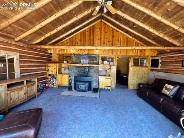 Lake George, CO 80827,149 Brakeman LN