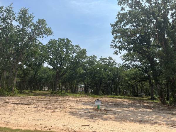 308 Peace Lily Way, Tolar, TX 76476