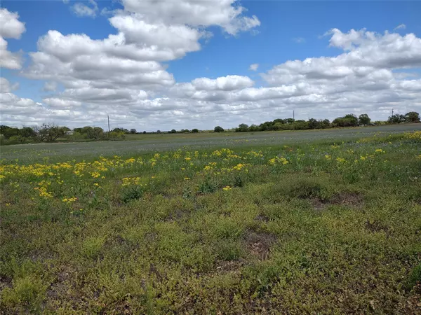 Cisco, TX 76437,40AC CO ROAD 184