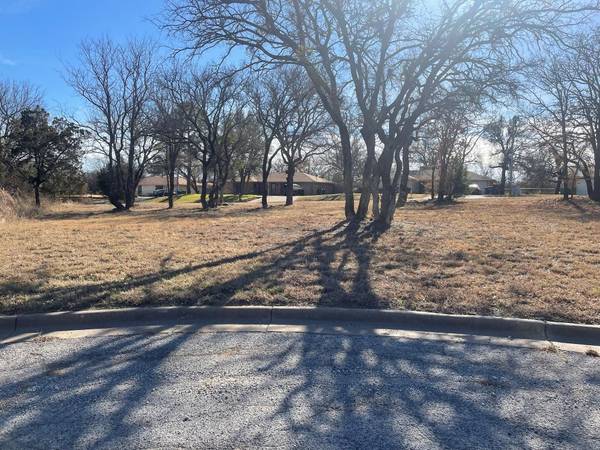 1503 Cross Oaks Court, Graham, TX 76450