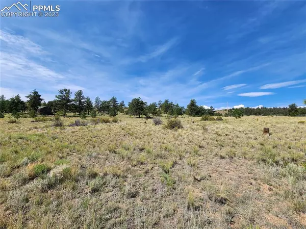 Hartsel, CO 80449,Trout ST