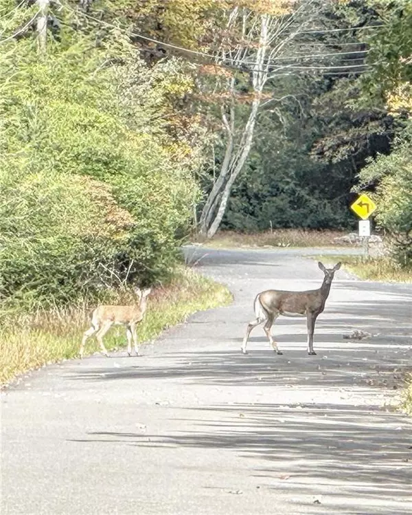 Bear Creek Lake Drive, Penn Forest Township, PA 18229