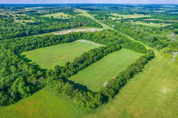 000 Gray Bottom, Tom Bean, TX 75495