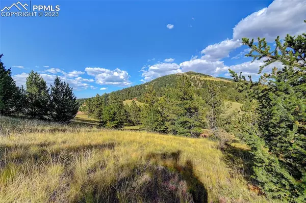 Cripple Creek, CO 80813,1058 Monarch DR