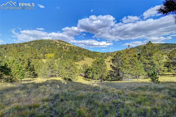 Cripple Creek, CO 80813,1058 Monarch DR