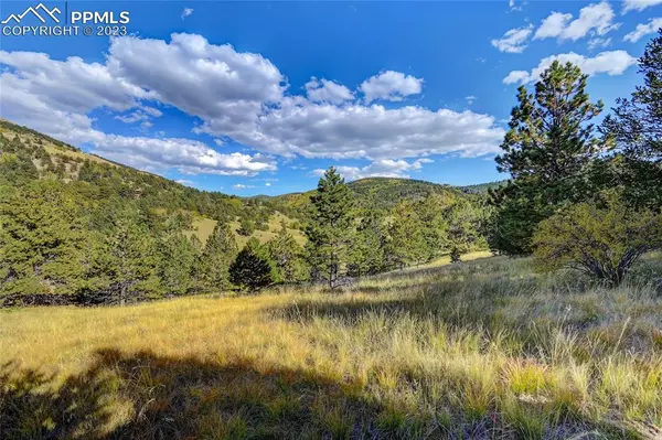 Cripple Creek, CO 80813,1058 Monarch DR