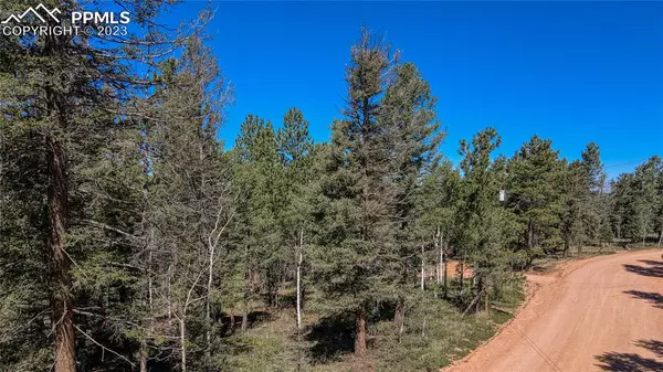 Divide, CO 80814,3723 Omer LN