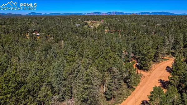 Divide, CO 80814,3723 Omer LN