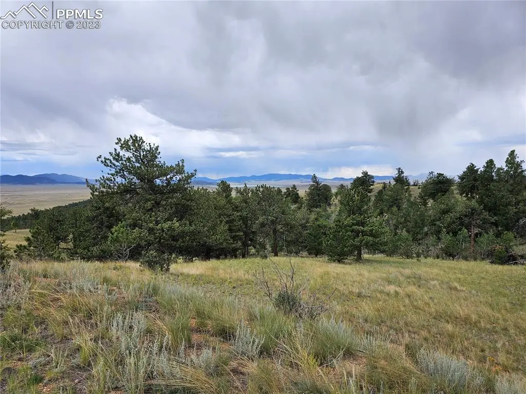 Hartsel, CO 80449,724 Pine LN