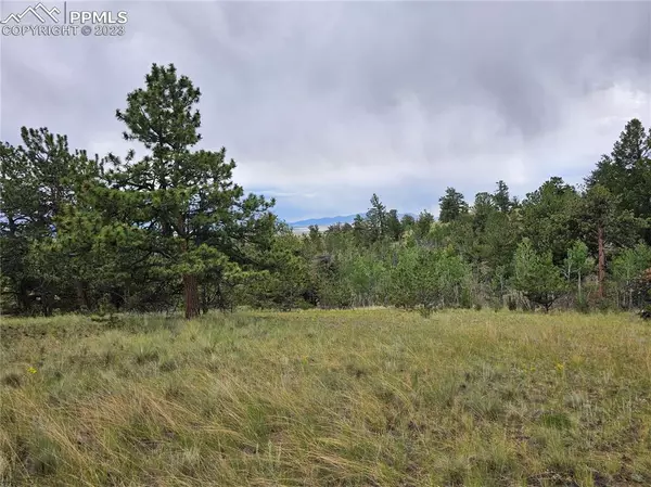 Hartsel, CO 80449,724 Pine LN