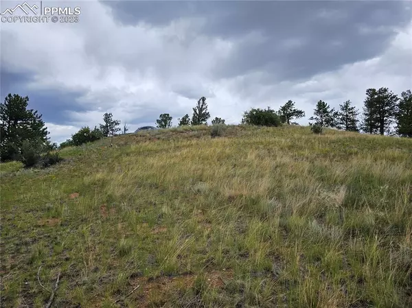 Hartsel, CO 80449,724 Pine LN