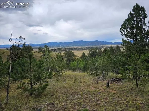 Hartsel, CO 80449,724 Pine LN