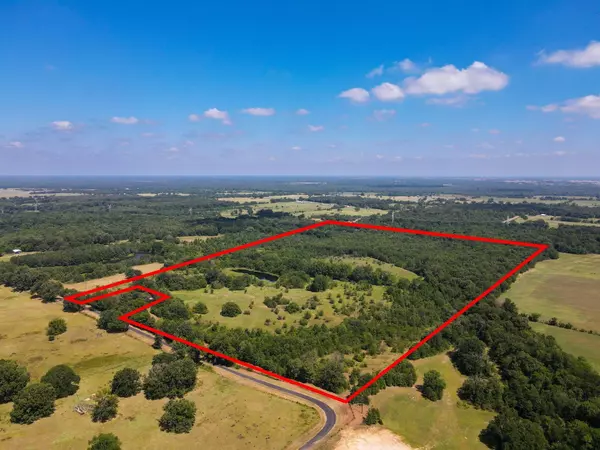 Mount Vernon, TX 75457,65.306 Acres NW County Road 1018 Road