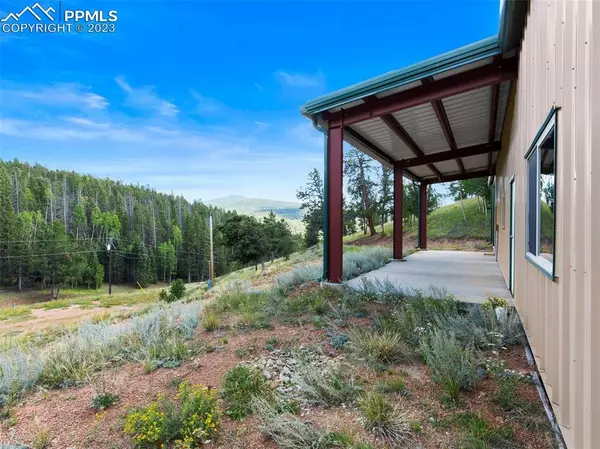 Cripple Creek, CO 80813,145 Nightingale LN