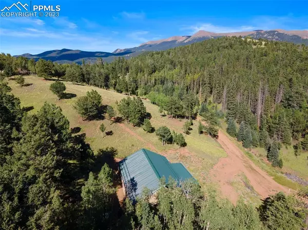 Cripple Creek, CO 80813,145 Nightingale LN